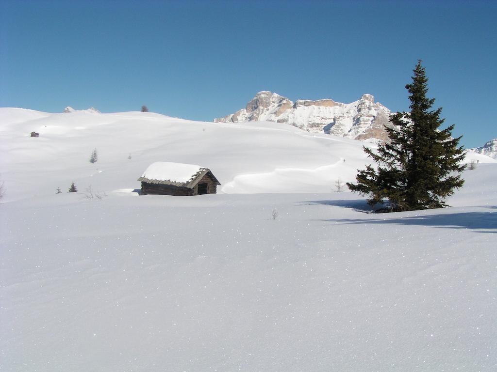 Apartments Residence Alta Badia Calfosch Extérieur photo